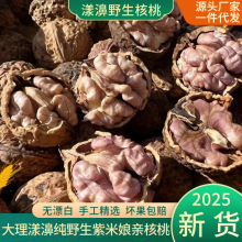 5新云南大理漾濞野生老树原味孕妇紫仁尖嘴紫米娘亲紫皮核桃