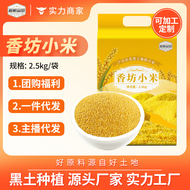 Hualiang Yellow Millet 2.5kg Northeast Yellow Millet Whole Grains Coarse Grains Small Yellow Millet Directly from Manufacturer Yellow Millet