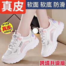 �羳�\��ЬŮ2025���¿��ļ�͸��W����ЌW���p���ܲ��WЬ�ϵ�Ь