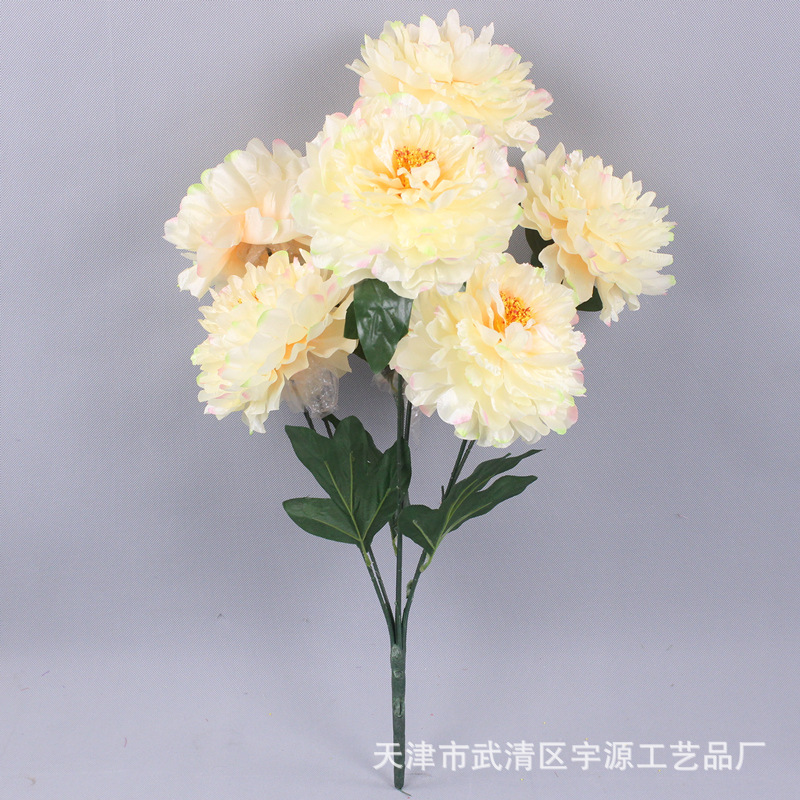 Champagne color