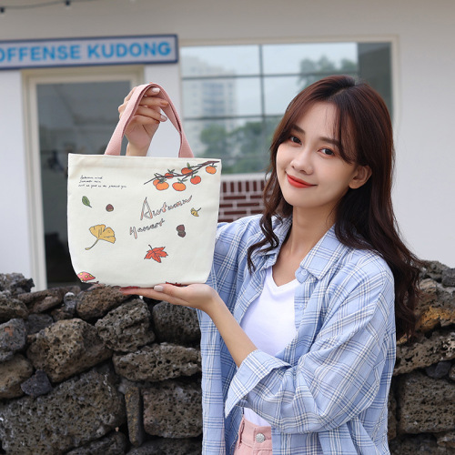 A versatile canvas bag for women, wholesale fashionable small cloth bag, summer shoulder bag, dropshipping, hand-held bag.