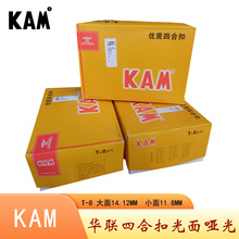 �AT8����ĥɳ�ĺϿ��L�A�˹�����֬����KAMT8���水��Դ�^�S