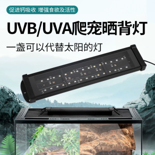 Cross-border Amazon thin long UVB lamp climbing pet sun backlight calcium lamp UVA lamp maned lion lizard blue tongue tortoise