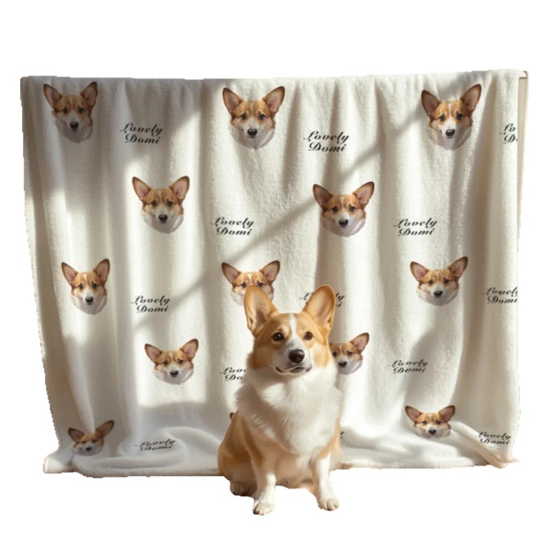 【カスタムペット毛布】写真入りカスタム犬猫毛布 ソファベッド用カジュアルエアコン毛布|undefined