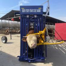 �S�ҹ�������ţ������ţ�̶��ܷQ����N��ᘷ��߄����gһ�ܶ���