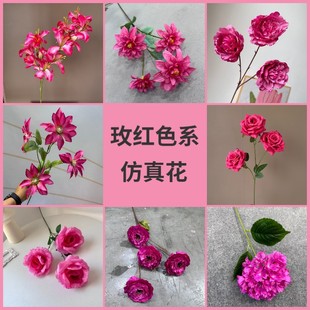 õ�tɫϵ���滨�� �鷿����õ�tɫϵ��Y�üٻ�·���廨�S�����l