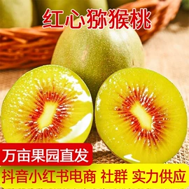 其他水果;番薯类;梨