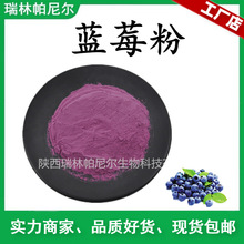 工厂批发 蓝莓粉 蓝莓汁粉 水溶果汁粉固体饮料 蓝莓果粉