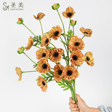 ��c���滨pu��֦5�^С���ڻ���������ĵ����Y�Ҿ�ܛ�b�羳�廨