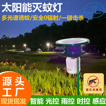 ̫��ܜ��ß� ����ͥԺ���@���� �������� 늓����� �F؛