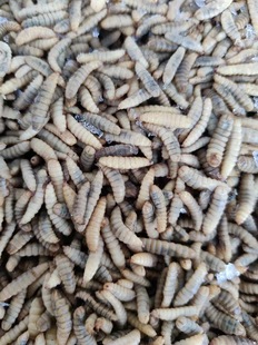 ��ˮ��r�x�����x�L�������������׵󡢲�β�ء��S��~��ϡ�