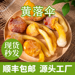 �S����ك��S�u���a�����lʳ�þ��������偵�Ƶ��������|