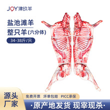 宁夏盐池滩羊肉整只羊六分体现杀羊羔去皮冷冻全羊烤全羊食材锁鲜