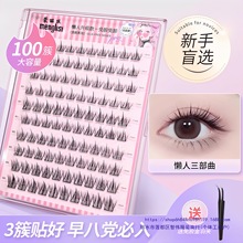 zٽëȻɽ軨zˮճŮN2025¿۽ë