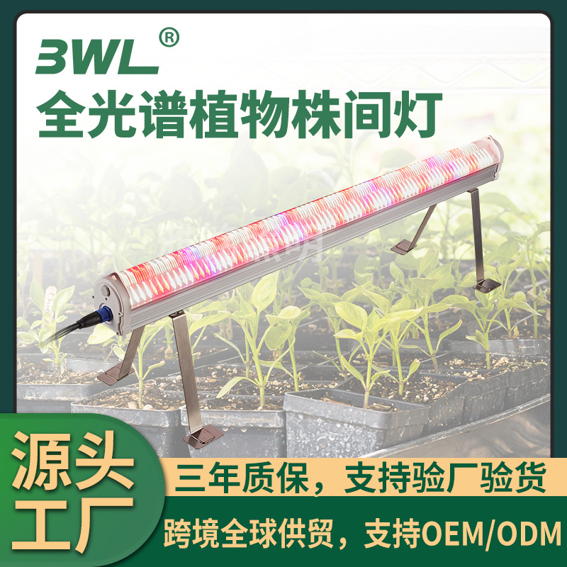 株间灯全光谱LED植物灯树下灯大棚蔬菜育苗底部补光UnderCanopy