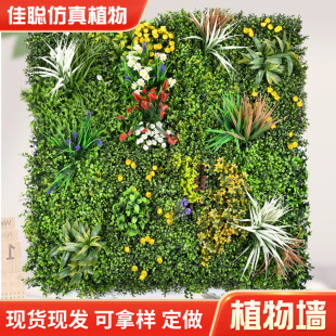 1��*1�׷���ֲ����ϲ�ƺ�ٲ�Ƥ���챳�����Gֲ���滨�߷���