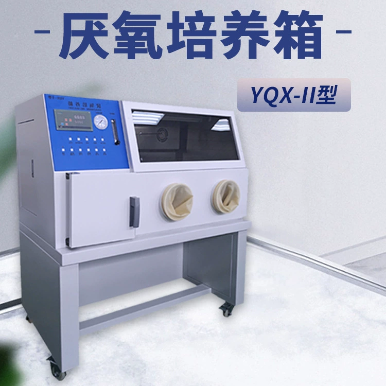 YQX-II Тип анаэробных бактерий перчатки операционный инкубатор Анаэробная рабочая станция лабораторный биологический анаэробный инкубатор