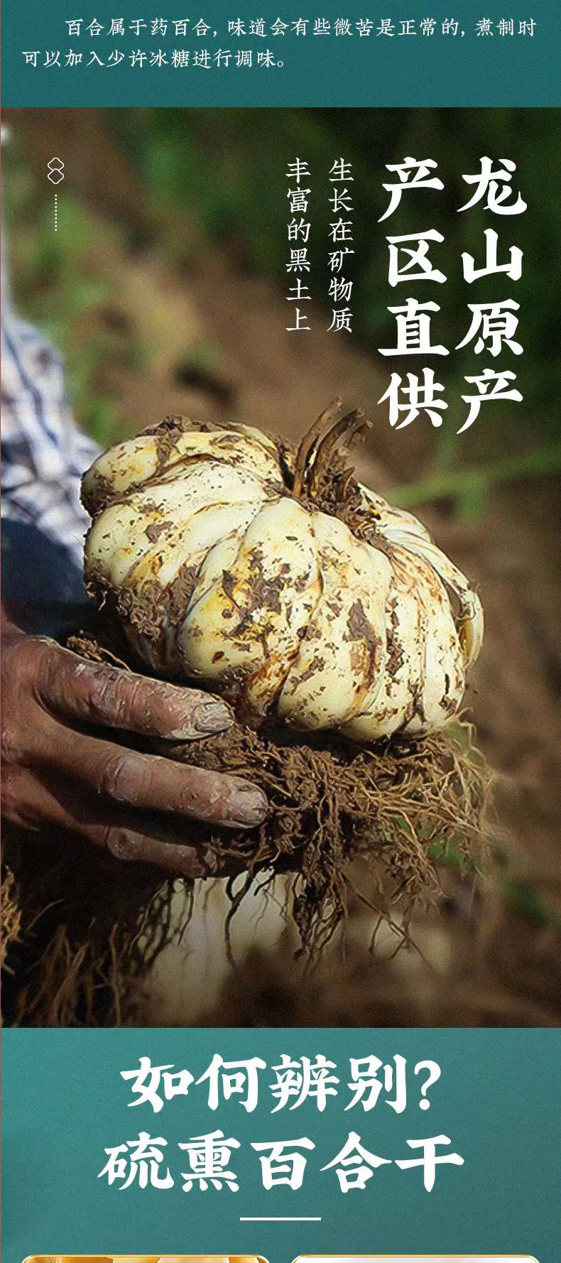 Dried Lily Bulb Bai He 500g Edible Herb Food Grade key features
