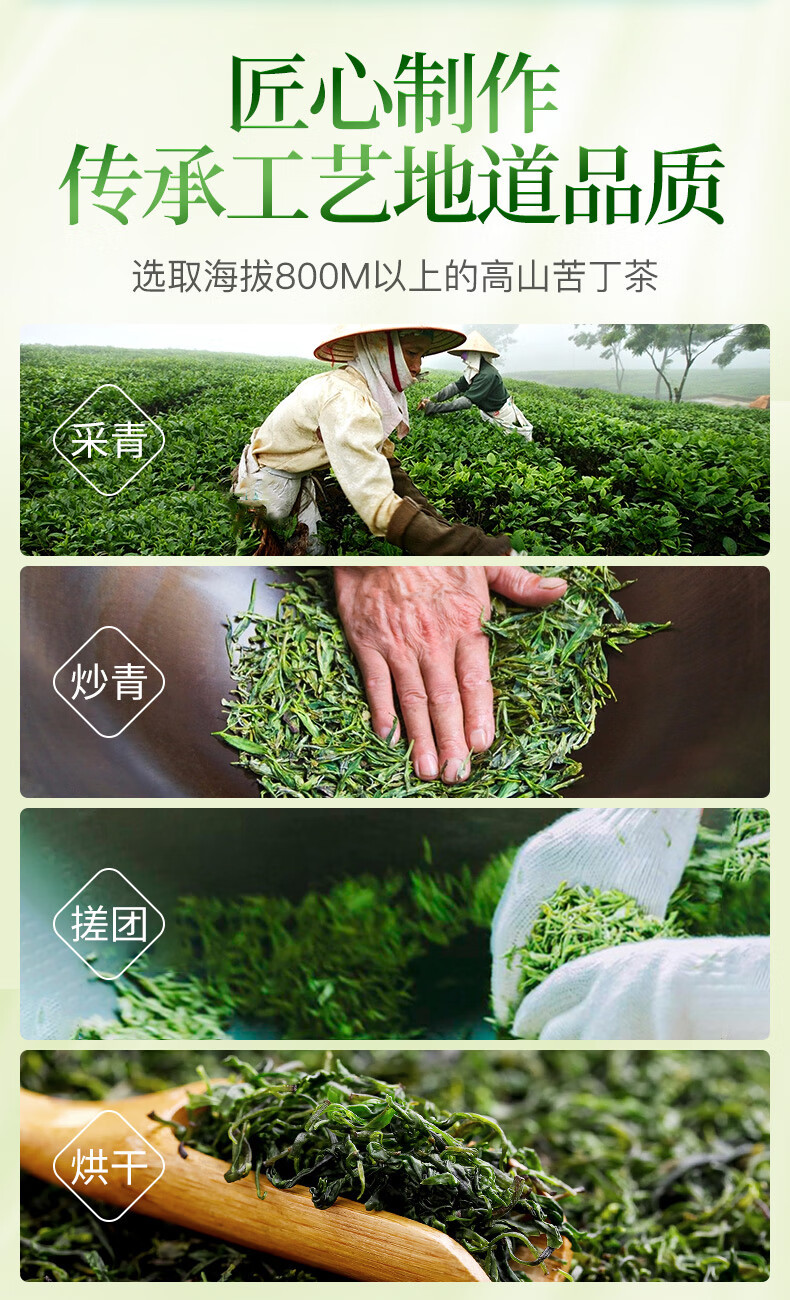 Small Leaf Kuding Tea Ku Ding Cha Premium Pre-Qingming Tender Buds Loose Herbal Tea 40g Canister in use