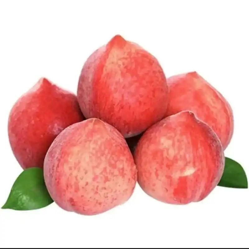 Shandong Mengyin Honey Peaches, Fresh Peaches for Pregnant Women, Freshly Picked, Crisp and Sweet Peaches, Free Shipping Via Sf Express, One-Piece Dropshipping Shandong Mengyin Honey Peaches, Fresh Peaches for Pregnant Women, Freshly Picked, Crisp and Sweet Peaches, Free Shipping Via Sf Express, One-Piece Dropshipping