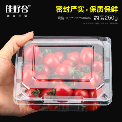 卸売り使い捨て透明果物包装箱は、抗圧PET果切箱の超専用スイカ包装箱を厚くする|undefined