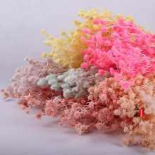 永生花情人果干花小花束ins摆件工艺品创意礼物diy小刺芹紫蓟材料