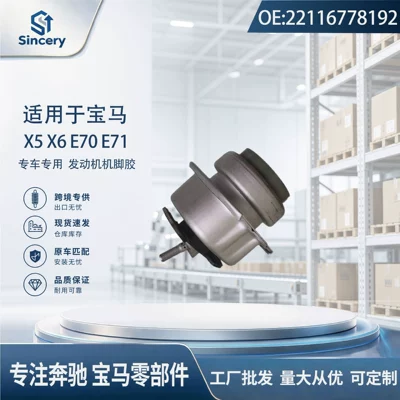 Suitable for BMW X5 X6 Suspension and Shock Absorber Systems