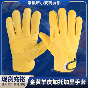 ���S��Ƥ���׼��м��﹤�ط��o���\�ڱ�����늺�����S�ވ@ˇ����