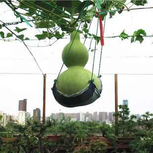 ���羳��؛�������J�N���̨�������ٺ��J�����С�����JͥԺ����