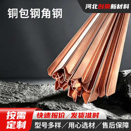 供应铜包钢角钢 铜覆钢角铁 镀铜角钢 防雷铜包钢接地极角钢角铁