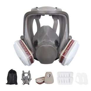 Gas Mask Spray Paint Pesticide Decoration Formaldehyde Fire Chemical Gas 6800 Same Full Face Mask Cross-Border