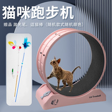 简约猫咪滚轮跑步机静音猫跑轮塑料不卡脚家用运动健身猫猫抓板