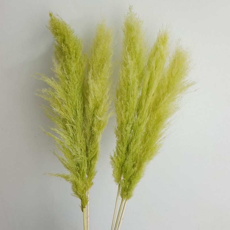 (8)5 꽃 스파이크 70-80cm 전체 길이 약 140cm