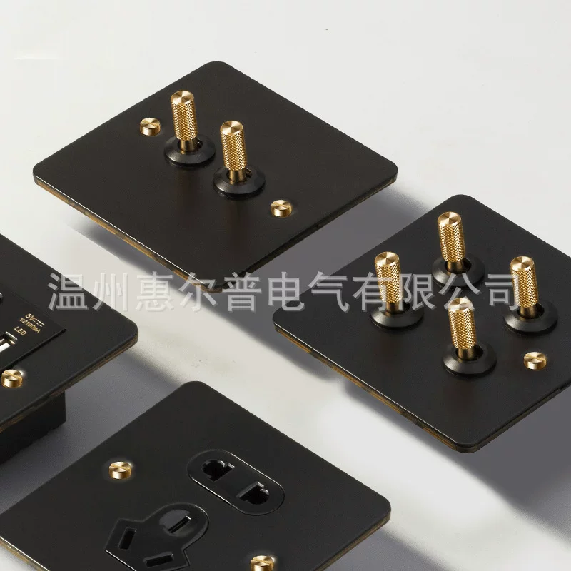 Mounted black retro switch key, light panel stainless steel