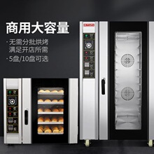红菱热风炉 RX-5D商用循环炉5盘热风式烤箱多功能蒸汽喷雾风炉