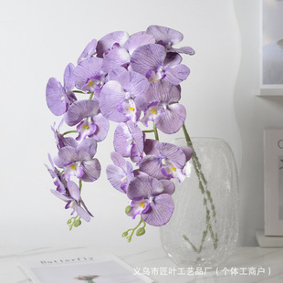��֧�����^�z�����ָ�9�^�����m���滨�m�� ��c�ҾӾƵ��bٻ�