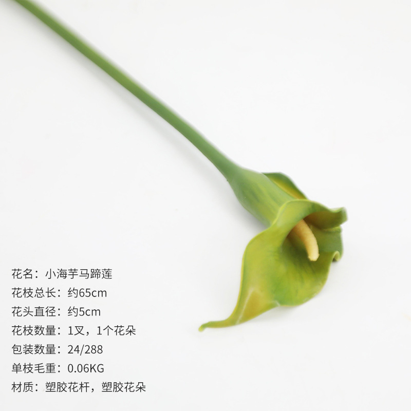 녹색