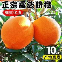 大涼山雷波臍橙10斤新鮮水果甜橙子現摘四川紐荷爾臍橙大果5包郵
