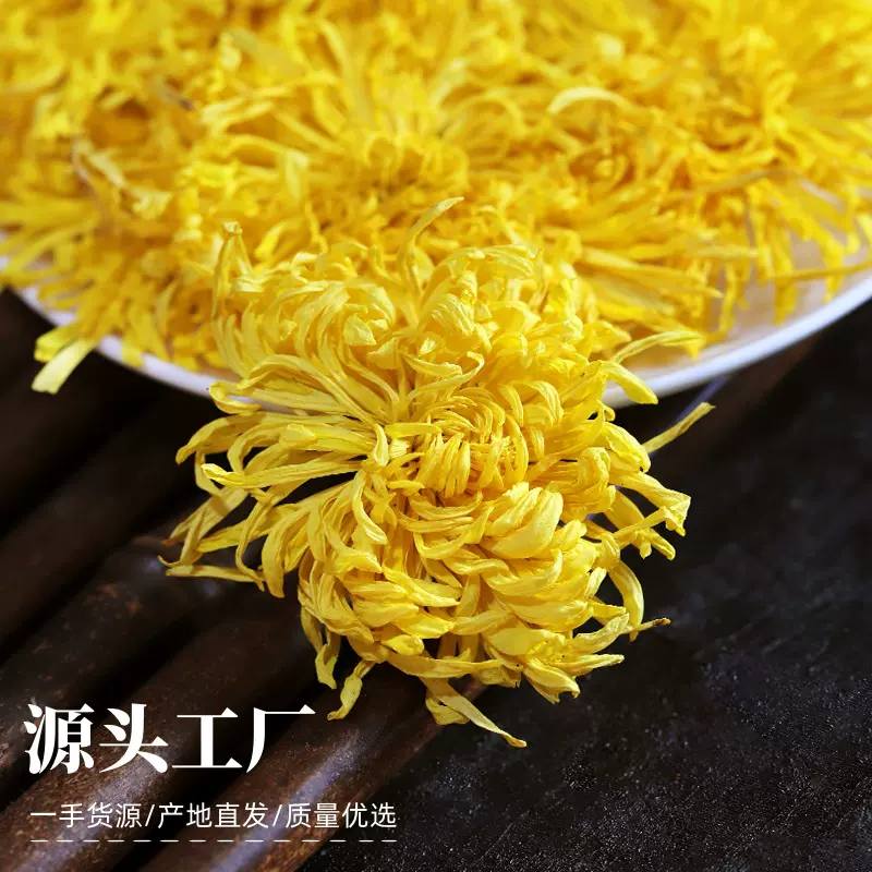金丝皇菊散装菊花茶特大朵黄菊花草茶批发金丝菊花一手货源头工厂