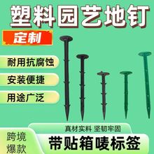 ���ƿ羳�Gɫ�@�֊A20pcs���ѻ��ܻ��@���R�d����ֲ��̶��A�@ˇ