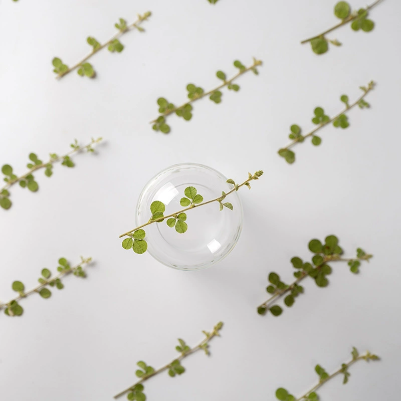 Клееная лоза с ветвями настоящие листья цветок тисненый сушеный цветок DIY Закладка свеча Чехол для мобильного телефона завод учебный образец