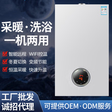 厂家批发家用高端采暖.洗浴.热水双用燃气壁挂炉天然气恒温跨境