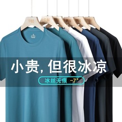 一級の氷糸の男性の夏の薄いタイプの速乾性のtシャツの丸首の通気性のレジャーの運動の上着の純色の半袖tの対外貿易