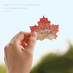 �����~�ռ�־�����N�����~��ӛ���NN���NС���������N�˺��N