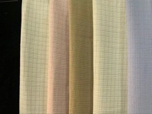 2023���z���z�A����p���A����Ӵ�������ë������