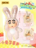 Little rabbit, be good (open the box but not the bag)