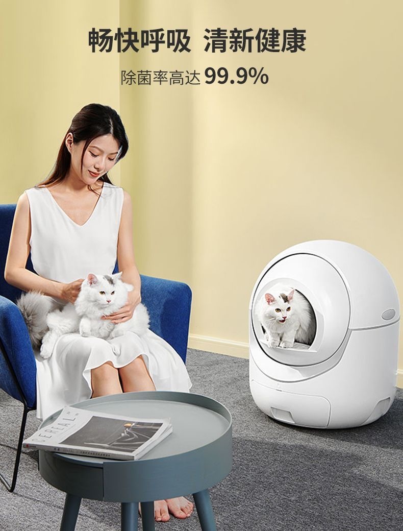 da5d422d-ee13-4926-a421-a2fe5be1b159.jpe