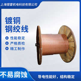 镀铜钢绞线 铜覆钢接地圆线 铜包钢镀铜接地棒 连铸镀铜钢接地极