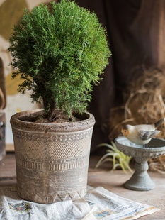 ˇ�g�t�ջ���͹şo�������մɻ�ƿ���������չ��߹޲����ׁ�