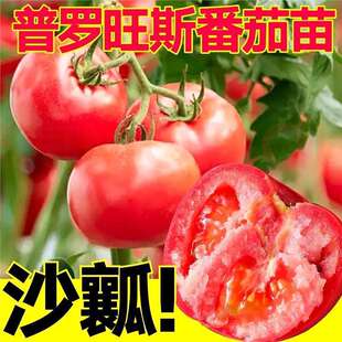 ɳȿ�ڸд�۷��������������ͺ��ᷬ͟�����_��˹���r�߲����ﶬ